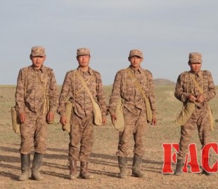 p19tekheju1cufi1hes1bcaqns1