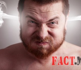 -06012015-1420514176-960913054