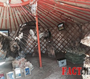 10b50ac5-e397-4d16-aa13-0e41dc72b50a