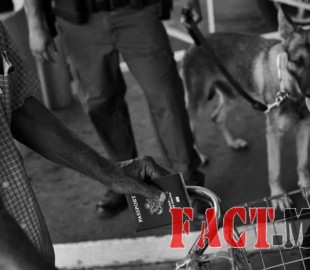 11951231_1697327333830875_7656175674538436263_n