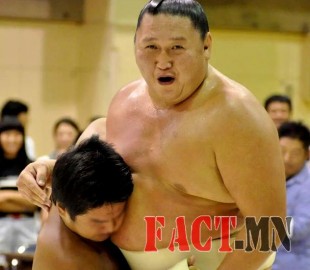 144159220955ecf391f2569