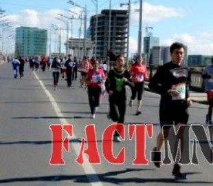 144178513755efe531901d2