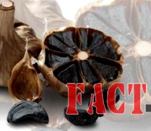 144244655855f9fcde9047b