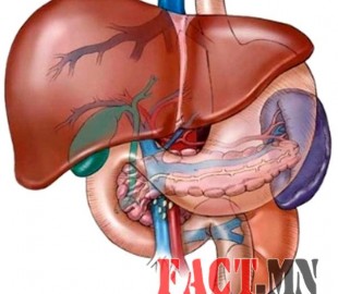 144281381355ff977573fe5