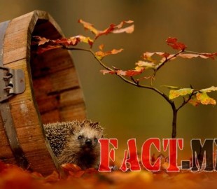 14430855995603bd1feaf4e