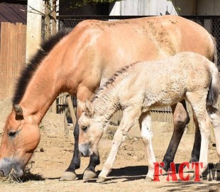 3bd415159b69d9dforiginal