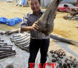 434721f96cb14604original