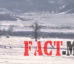 527-14431403881ueulqq6gk3um3mp3ls1t4dbcb