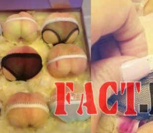 93jcbfv909dqcdo86jdt8g60v