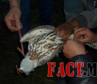 a8b12b496b87a40bd8824e594b311f7b