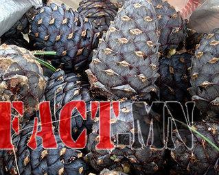 f8a96dd4fb15364a56572f5371eabdfd