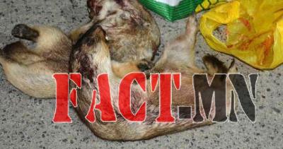 fb452e_12004130_901076419929380_5100180553397139851_n_x800