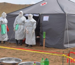 uzuulelt gamshig 137