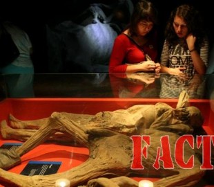 090a6fee-976f-44b5-9566-6093ca1036a4