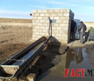 1011258_663372887042876_1419118230_n