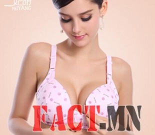 12074492_1695558550677982_6768843360626304524_n