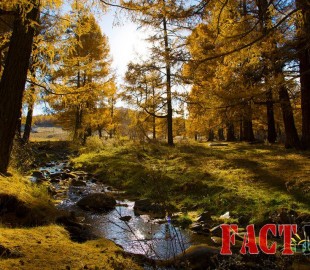 12170484_948850335181274_1990869266_n(1)