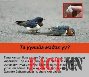 1240284_512233165530817_23199358_n