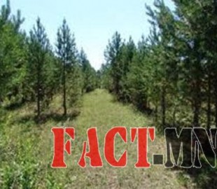 14442870075616121fcb6ee