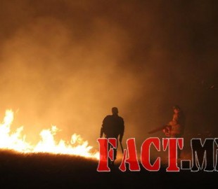 1444722994561cb932b70a9