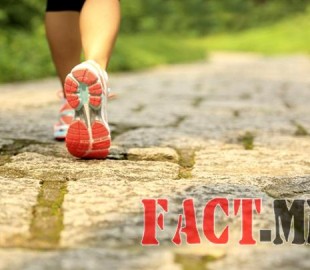 14455621395629871b054ff