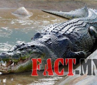 147a2463abe7584coriginal