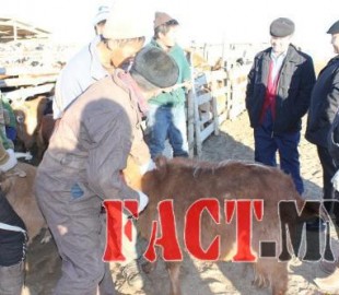 3af177cf7af9e705great