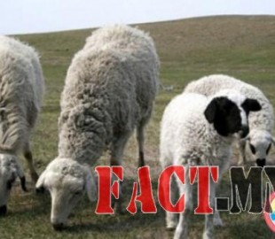 527-1437985181105d168ca9336db58f4514172609226b_XL