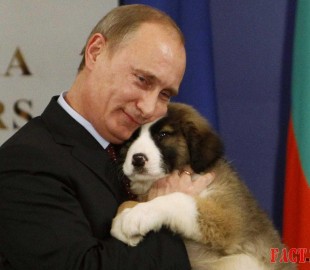 58t69e696kd0s59vjbnabb87bb