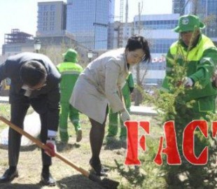 5ba2464e1017ca20original