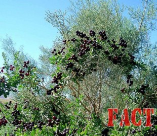 5d6fb1284620069ce0a5b6edd0070feb