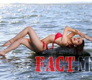 7425488694201510091154