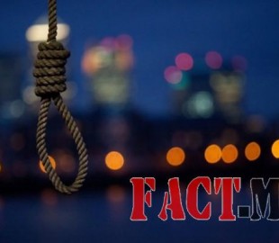 9106376c8aebf4f2great