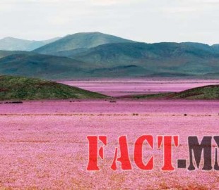 a7f43f277b26d7831ab25d8294a3393a