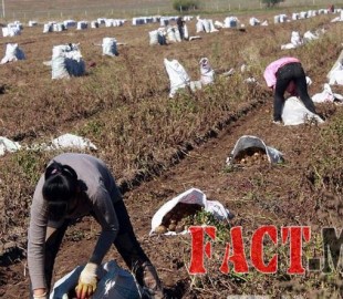 e9f86950112a178770da3dc894918b81