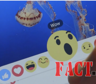 new-facebook-like-button