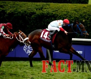 14464241665636ae66d9367