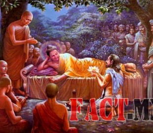 1446511864563804f8a942c