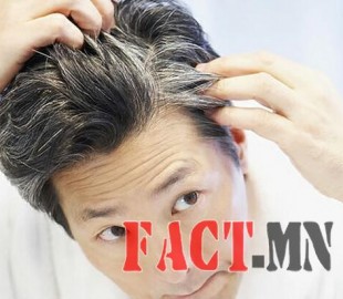 1446786415563c356f3eba2