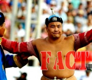 144714003056419abe3a343