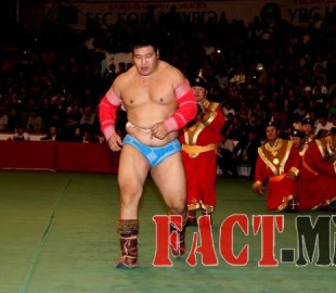 1447727423564a913f43c6c