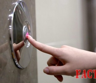 173498-05112015-1446712569-839738211-lipt