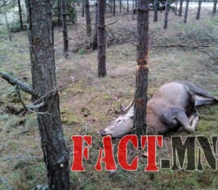 25740396f12d4610original