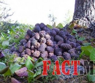 2b9b62cc4a54c087great