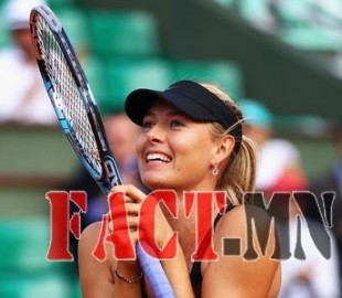 6599051dcc7baff4d31ad528e78ff731