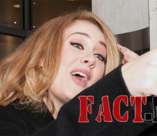 730d1ce7e558dbf6great