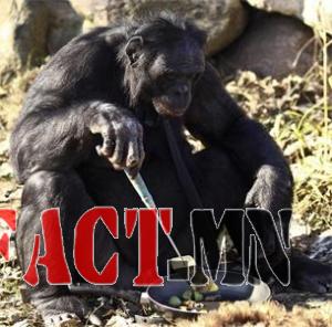 828526852a9a6b35f46251