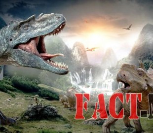 93834425642c1e78b5ef210