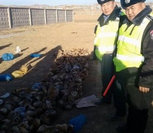 cp8tngh96ddsbjlfefvtdn7og_700x700