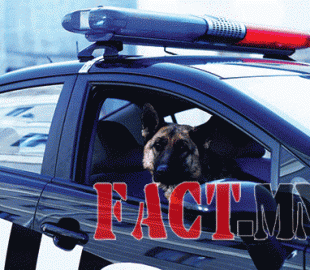 d12193a5a9ba39b6original